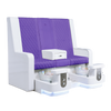 https://cdn.shopify.com/s/files/1/0085/4114/3145/products/Gemini-Purple.png?v=1739924749