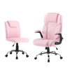https://cdn.shopify.com/s/files/1/0650/0902/5089/files/Genesis_Salon_Manicure_chair_combo_1_e790c4ed-ddf9-4c85-8791-48467953d9ec.png?v=1757098373