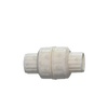 Whale Spa Check Valve